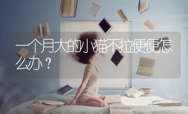 一个月大的小猫不拉便便怎么办？ | 动物养殖问答