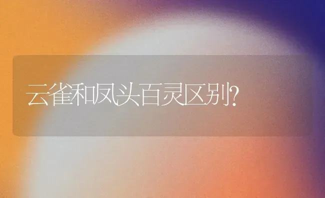 云雀和凤头百灵区别？ | 动物养殖问答