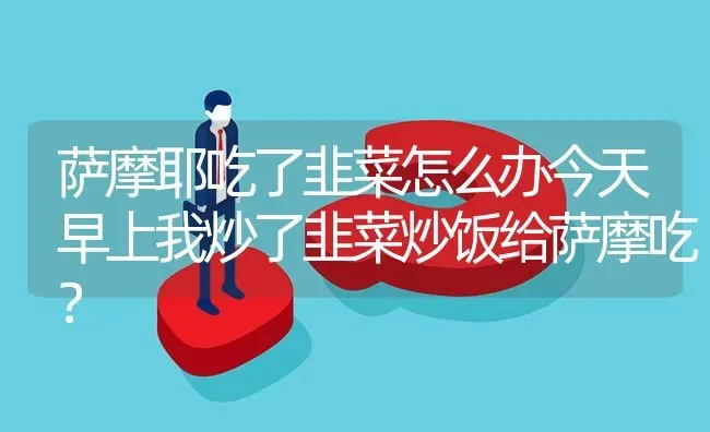 萨摩耶吃了韭菜怎么办今天早上我炒了韭菜炒饭给萨摩吃？ | 动物养殖问答