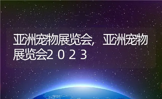 亚洲宠物展览会,亚洲宠物展览会2023 | 宠物百科知识