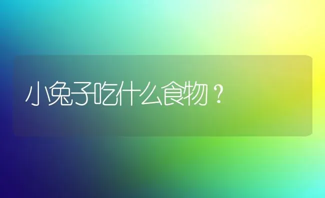 秋田犬怎么看年龄？ | 动物养殖问答