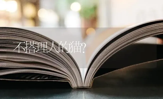 《挪威的森林》是哪位日本作家的著名小说作品？ | 动物养殖问答