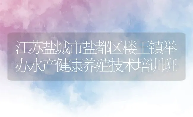 江苏盐城市盐都区楼王镇举办水产健康养殖技术培训班 | 动物养殖饲料