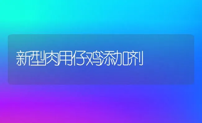 新型肉用仔鸡添加剂 | 动物养殖饲料