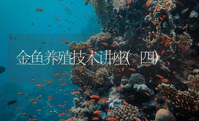 金鱼养殖技术讲座(四) | 海水养殖技术