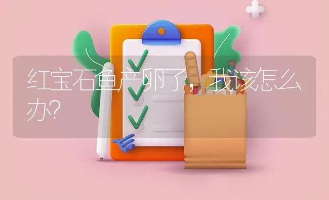 红宝石鱼产卵了，我该怎么办？ | 鱼类宠物饲养