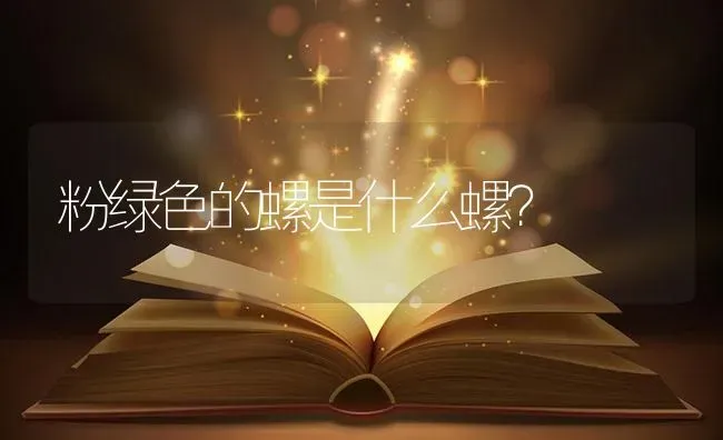 粉绿色的螺是什么螺？ | 鱼类宠物饲养