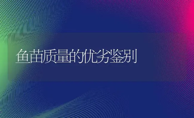 鱼苗质量的优劣鉴别 | 动物养殖教程