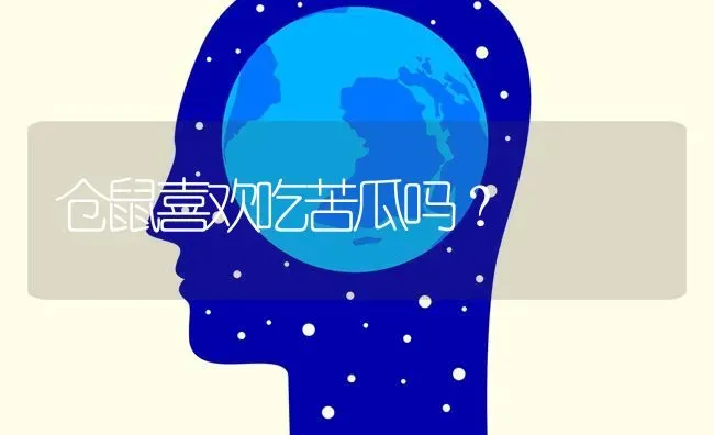 仓鼠喜欢吃苦瓜吗？ | 动物养殖问答