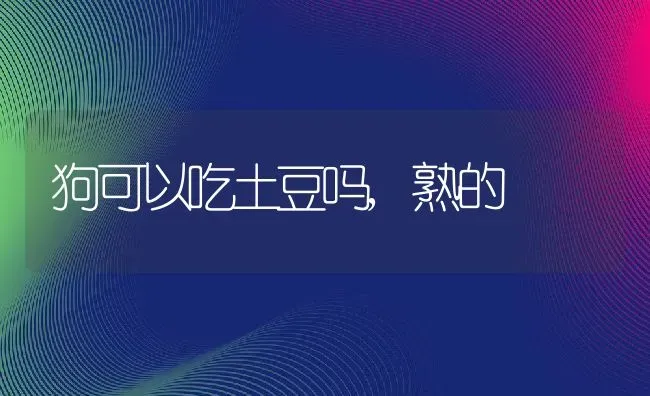 狗可以吃土豆吗,熟的 | 宠物百科知识