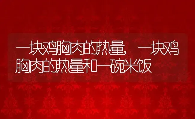 一块鸡胸肉的热量,一块鸡胸肉的热量和一碗米饭 | 宠物百科知识