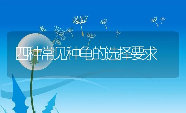 四种常见种龟的选择要求 | 动物养殖学堂