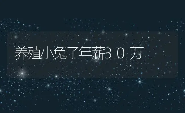 养殖小兔子年薪30万 | 动物养殖教程