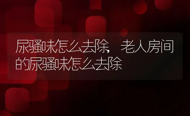 尿骚味怎么去除,老人房间的尿骚味怎么去除 | 宠物百科知识