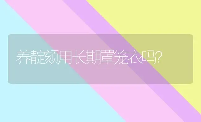 养靛颏用长期罩笼衣吗？ | 动物养殖问答