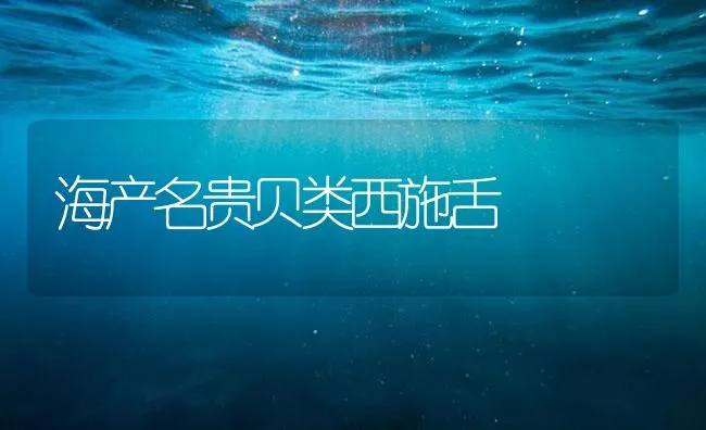 海产名贵贝类西施舌 | 海水养殖技术