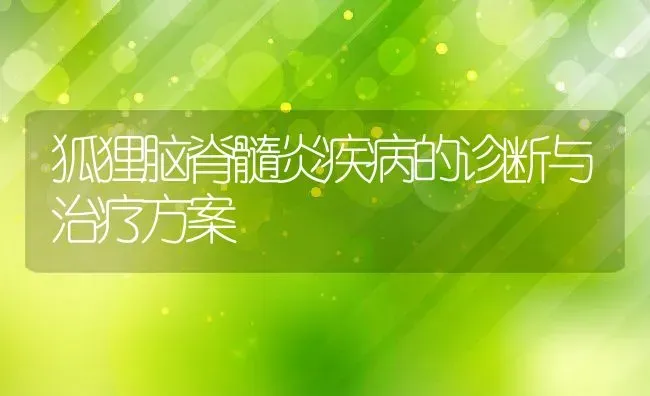 狐狸脑脊髓炎疾病的诊断与治疗方案 | 动物养殖教程