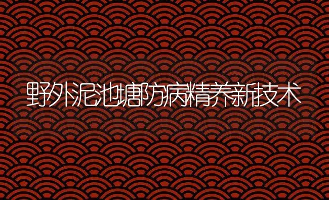 野外泥池塘防病精养新技术 | 动物养殖饲料