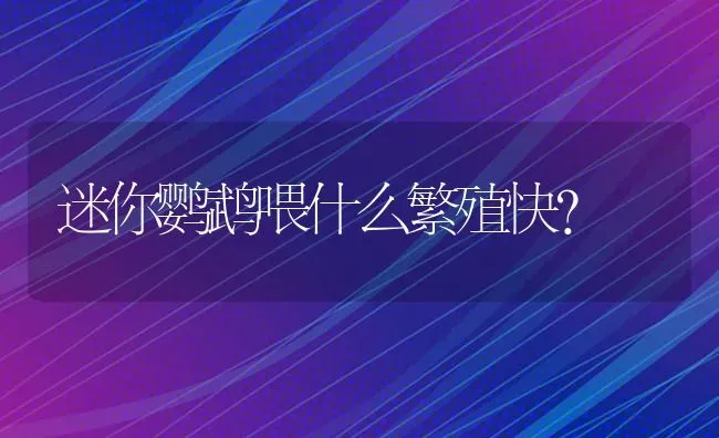 迷你鹦鹉喂什么繁殖快？ | 鱼类宠物饲养