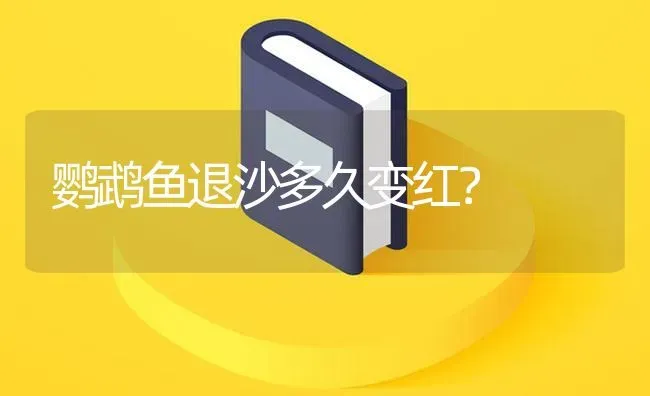 鹦鹉鱼退沙多久变红？ | 鱼类宠物饲养