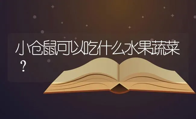 小仓鼠可以吃什么水果蔬菜？ | 动物养殖问答