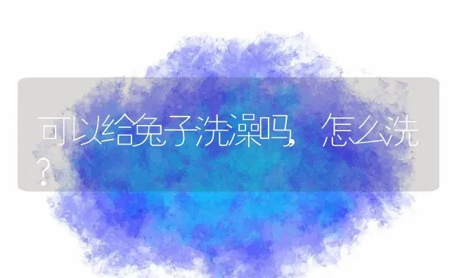 可以给兔子洗澡吗,怎么洗? | 宠物百科知识