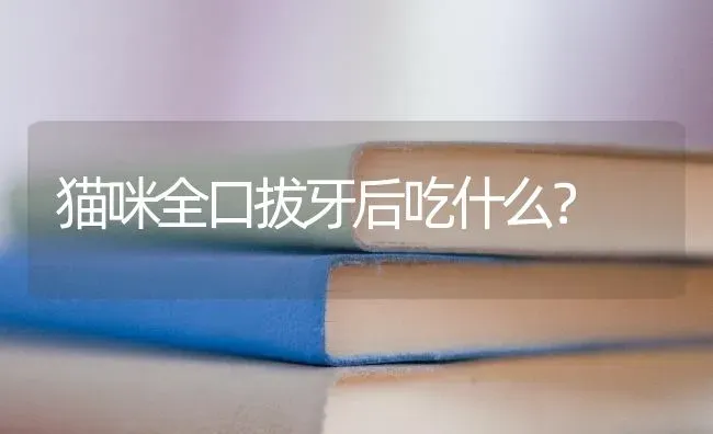 体型最大的兔子是什么兔子？有多大？ | 动物养殖问答