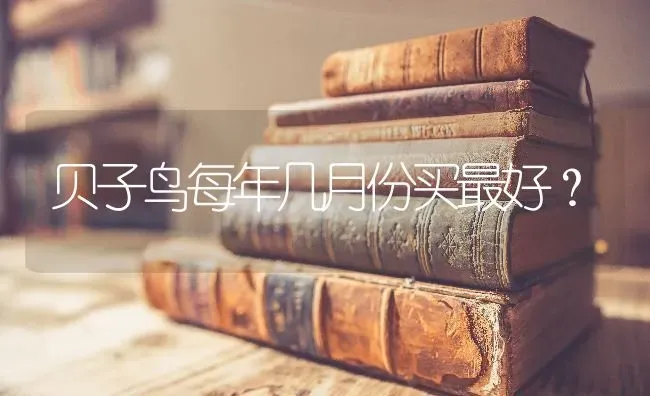 贝子鸟每年几月份买最好？ | 动物养殖问答