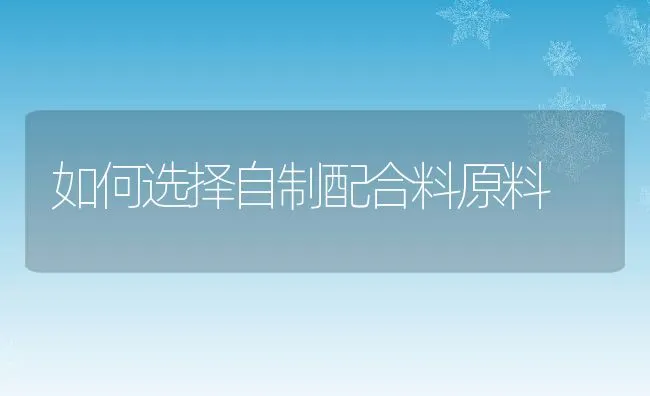 如何选择自制配合料原料 | 动物养殖饲料