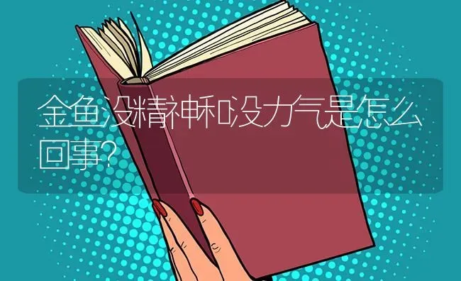 金鱼没精神和没力气是怎么回事？ | 鱼类宠物饲养