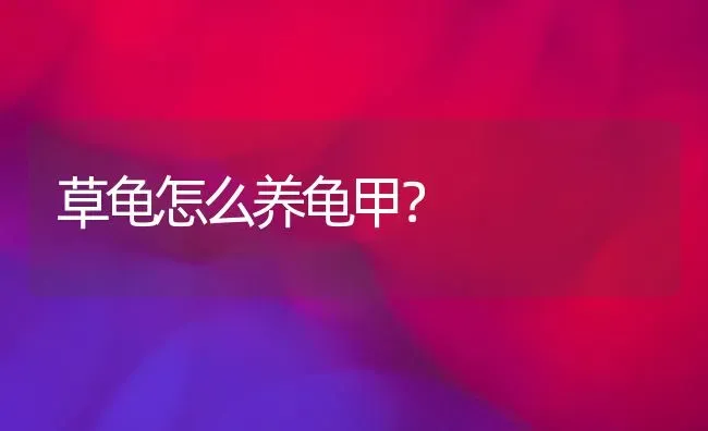 草龟怎么养龟甲？ | 动物养殖问答