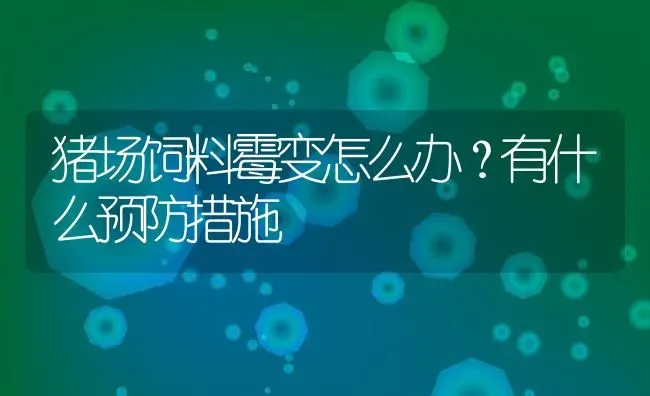 猪场饲料霉变怎么办？有什么预防措施 | 动物养殖百科