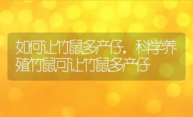 如何让竹鼠多产仔，科学养殖竹鼠可让竹鼠多产仔 | 动物养殖百科