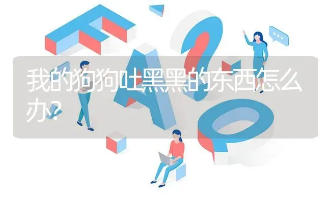 我的狗狗吐黑黑的东西怎么办？ | 动物养殖问答
