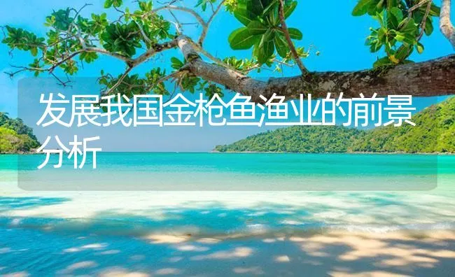 发展我国金枪鱼渔业的前景分析 | 海水养殖技术