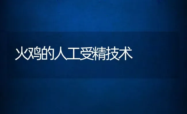 火鸡的人工受精技术 | 动物养殖教程