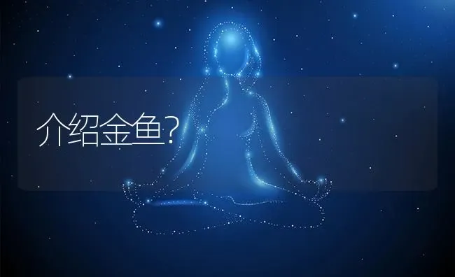 介绍金鱼？ | 鱼类宠物饲养