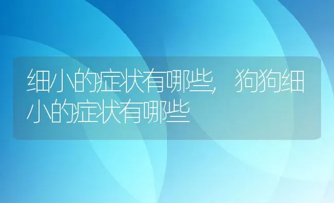 细小的症状有哪些,狗狗细小的症状有哪些 | 宠物百科知识