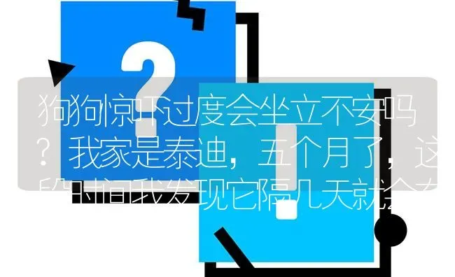 狗狗惊吓过度会坐立不安吗?我家是泰迪，五个月了，这段时间我发现它隔几天就会有一晚上坐立不安，像是？ | 动物养殖问答