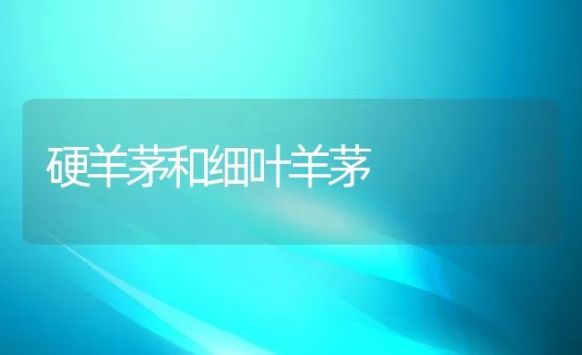 罗非鱼海水养殖技术 | 海水养殖技术