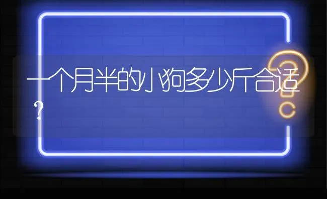 一个月半的小狗多少斤合适？ | 动物养殖问答