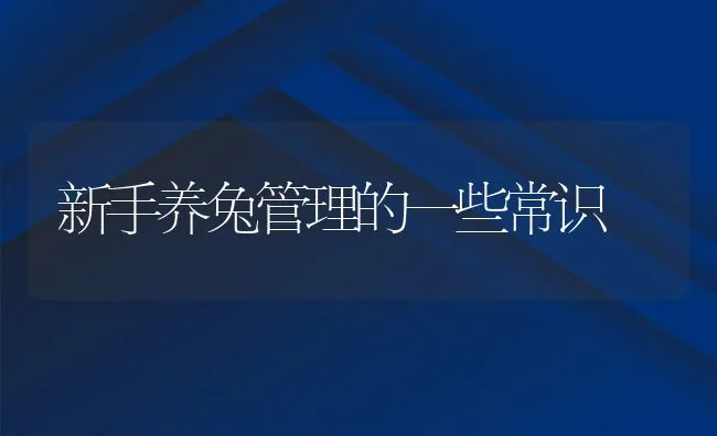 新手养兔管理的一些常识 | 水产养殖知识