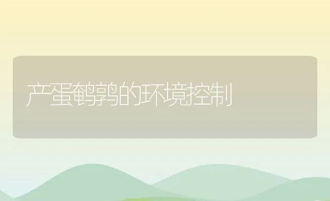 产蛋鹌鹑的环境控制 | 水产养殖知识