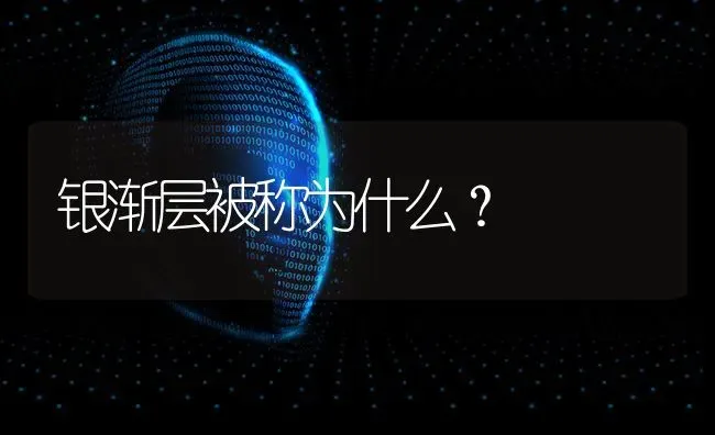 银渐层被称为什么？ | 动物养殖问答