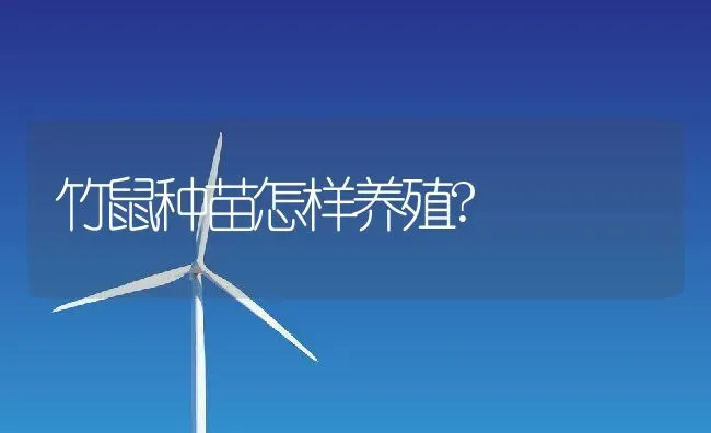 竹鼠种苗怎样养殖? | 动物养殖百科