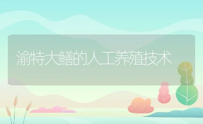 牛蛙流水式养殖技术 | 动物养殖学堂