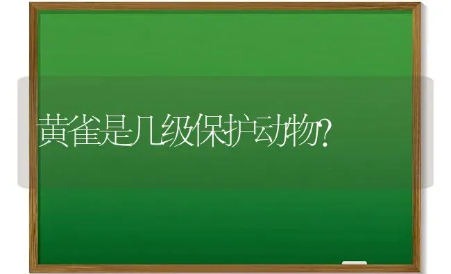 黄雀是几级保护动物？ | 动物养殖问答