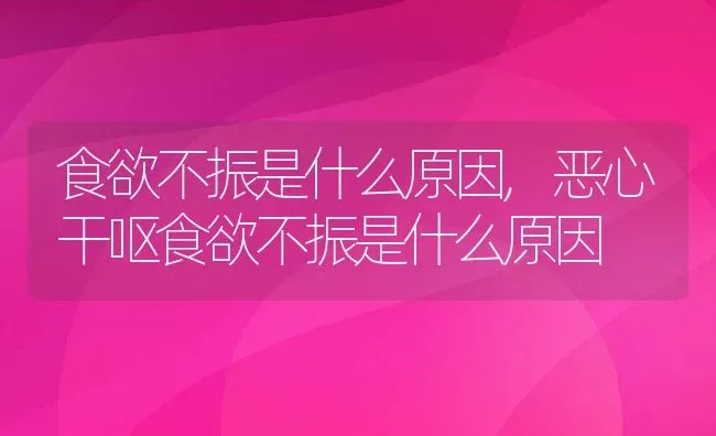 食欲不振是什么原因,恶心干呕食欲不振是什么原因 | 宠物百科知识