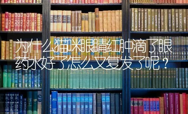 为什么猫咪眼睛红肿滴了眼药水好了怎么又复发了呢？ | 动物养殖问答