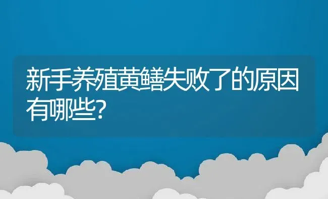 新手养殖黄鳝失败了的原因有哪些？ | 动物养殖百科